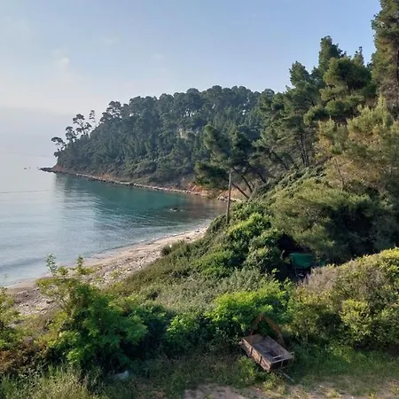 Oasis