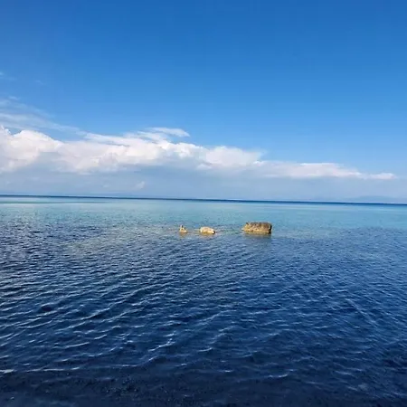 Oasis * Kallithea (Chalkidiki)