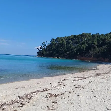 Oasis