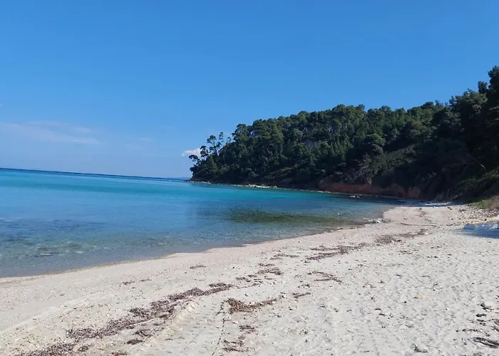 Oasis